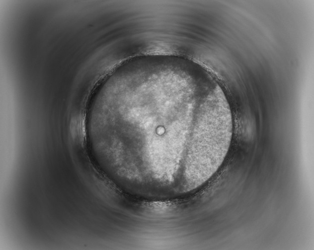 X0000095540302200801111438