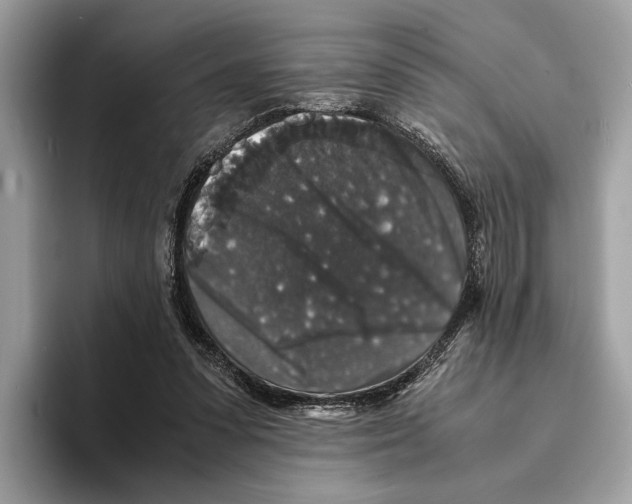 X0000095540303200801111438