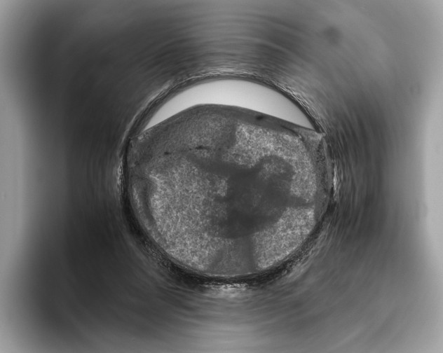 X0000095540304200801111438