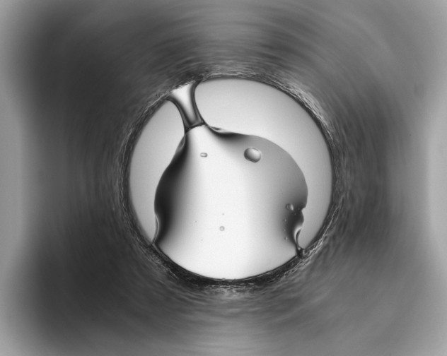 X0000095540305200801111438