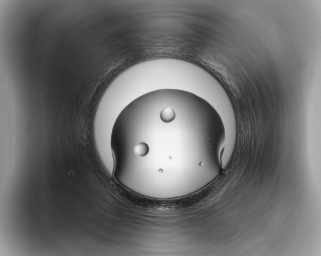 X0000095540308200801111438