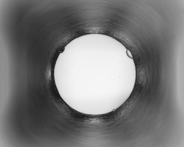 X0000095540310200801111438