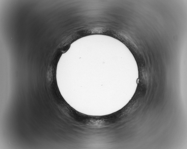 X0000095540311200801111438