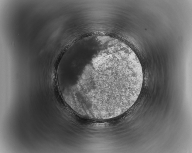 X0000095540314200801111438