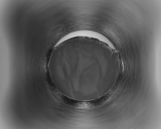 X0000095540316200801111438