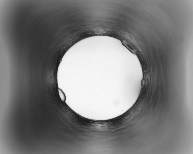 X0000095540317200801111438