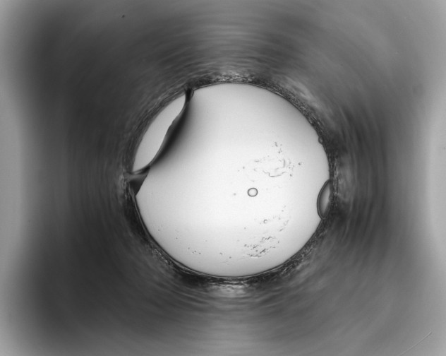 X0000095540318200801111438