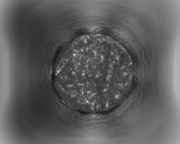 X0000095540319200801111438