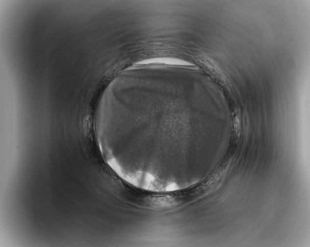 X0000095540322200801111438