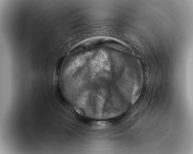 X0000095540324200801111438