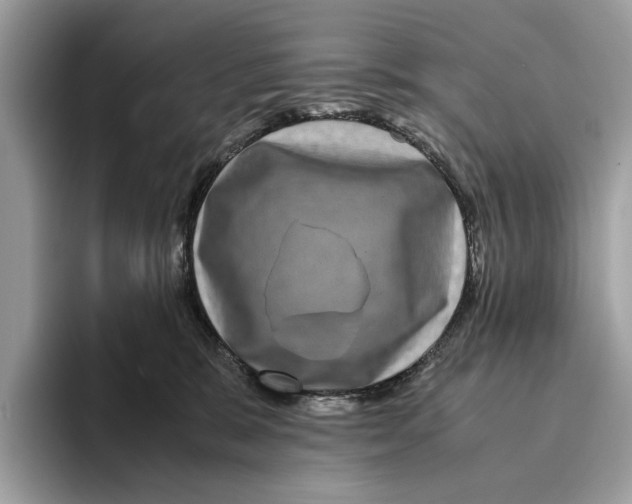 X0000095540327200801111438