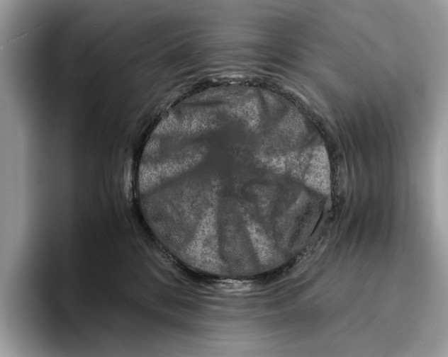 X0000095540328200801111438