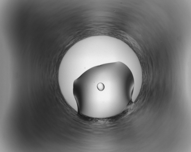 X0000095540329200801111438