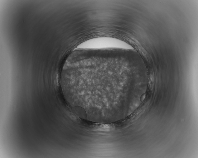 X0000095540330200801111438