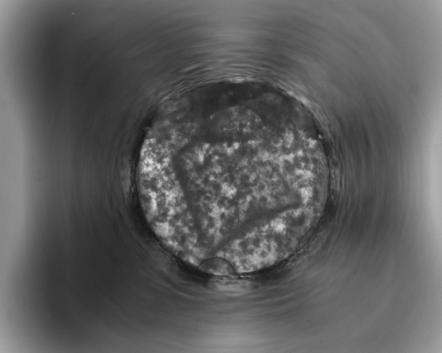 X0000095540331200801111438