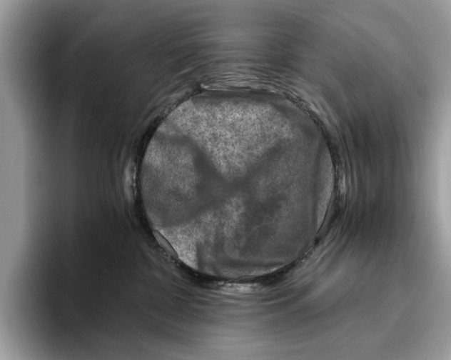 X0000095540332200801111438