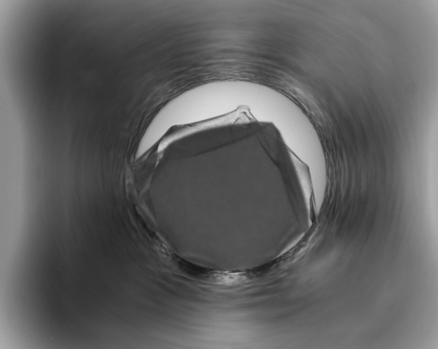 X0000095540333200801111438