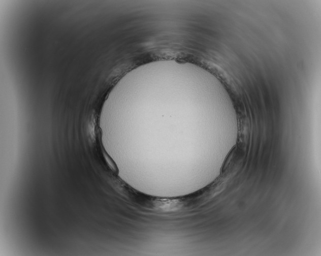 X0000095540334200801111438