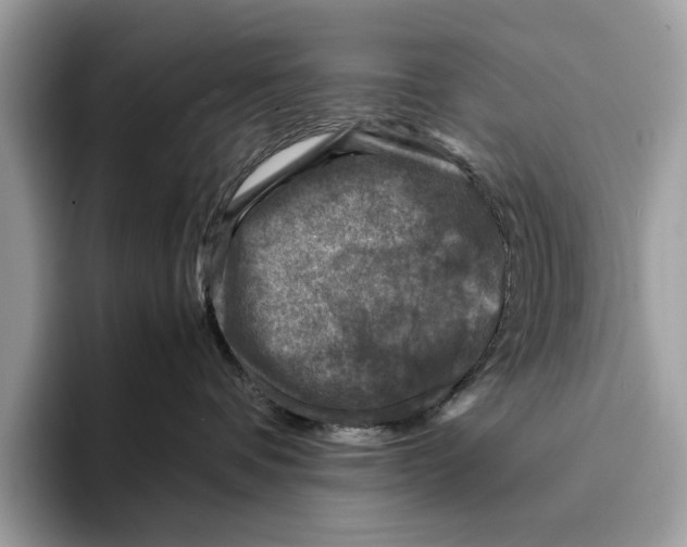 X0000095540336200801111438