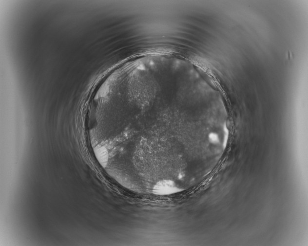 X0000095540337200801111437