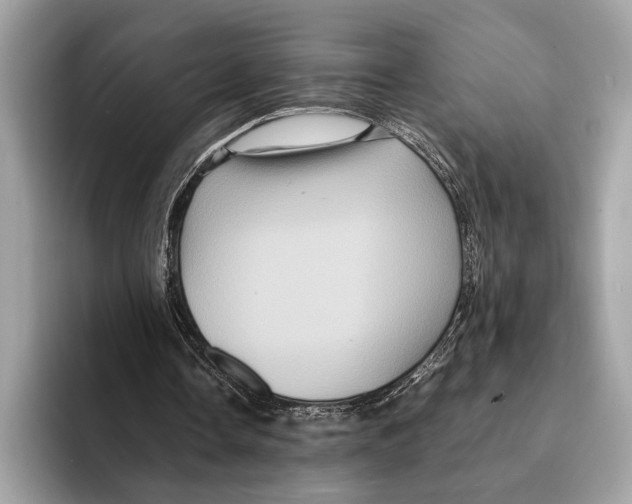 X0000095540338200801111437