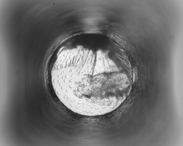 X0000095540339200801111437