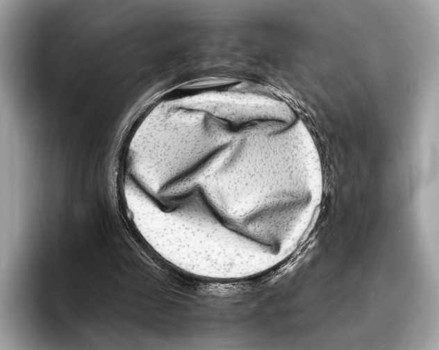 X0000095540341200801111437