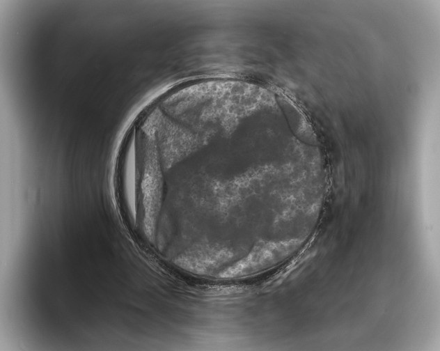 X0000095540342200801111437