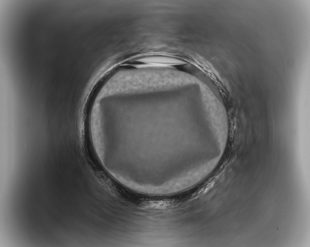 X0000095540344200801111437