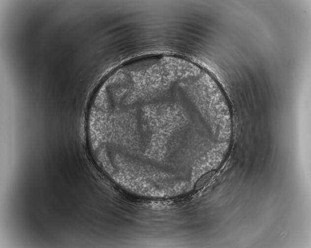 X0000095540345200801111437