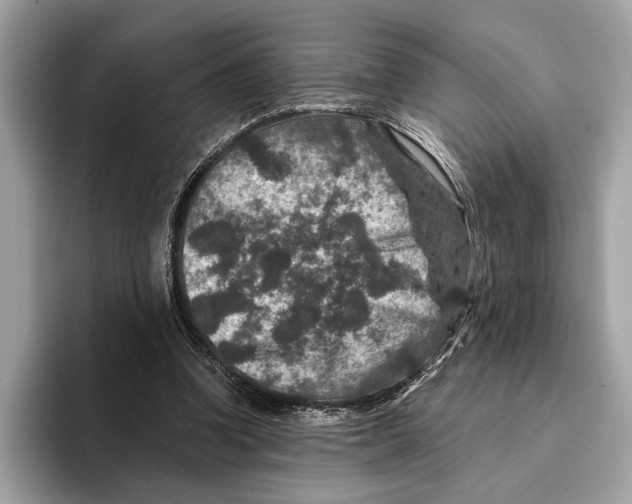 X0000095540346200801111437