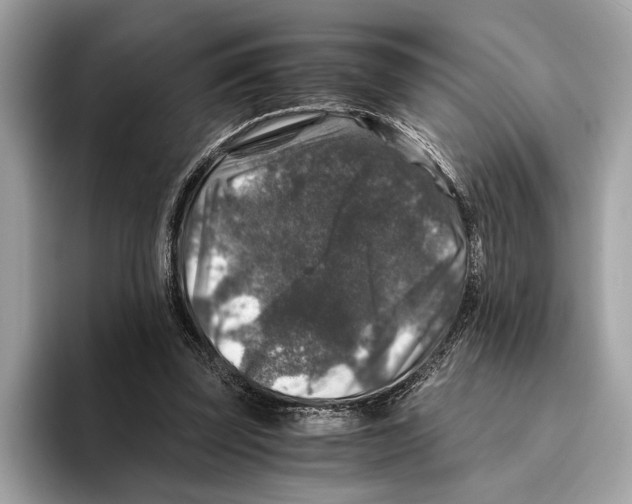 X0000095540347200801111438