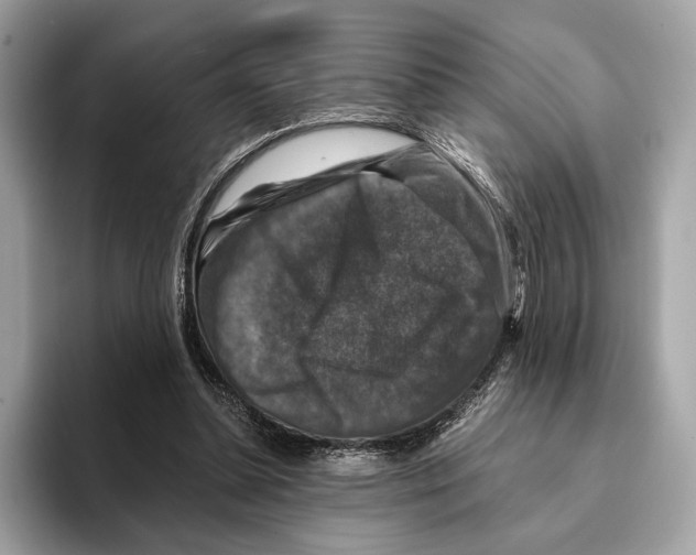 X0000095540348200801111438