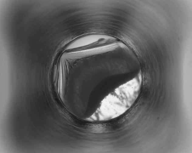 X0000095540349200801111438