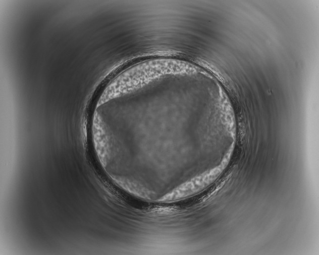 X0000095540350200801111438