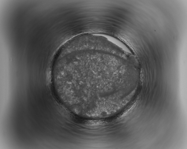 X0000095540351200801111438