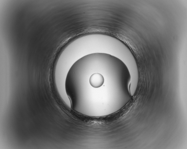 X0000095540352200801111438