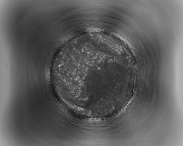 X0000095540353200801111438