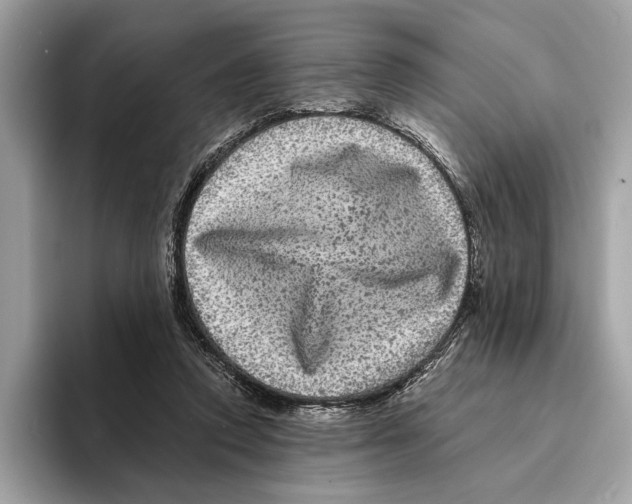 X0000095540354200801111438