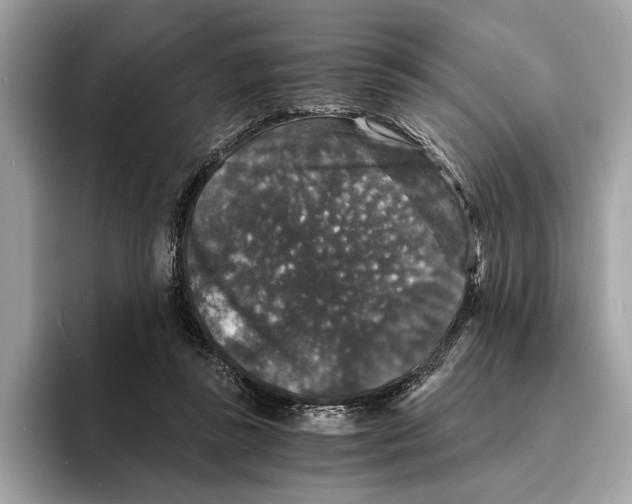 X0000095540355200801111438