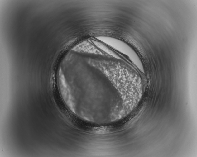 X0000095540356200801111438