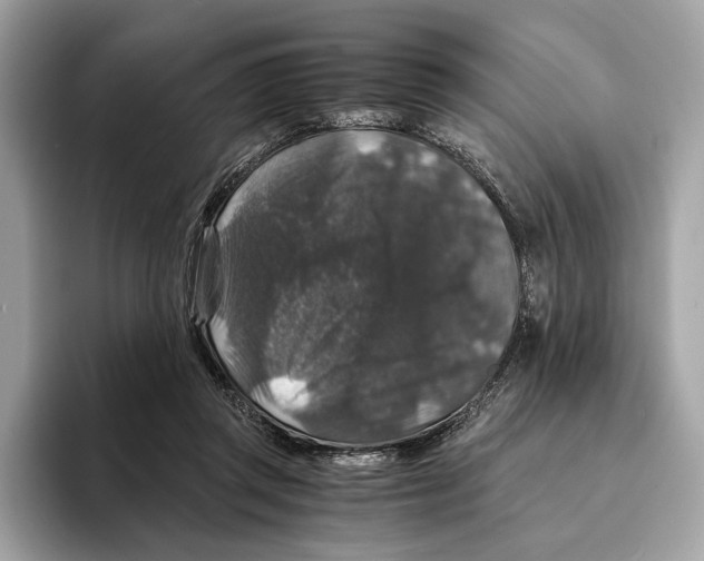 X0000095540357200801111438