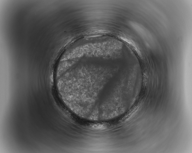 X0000095540358200801111438