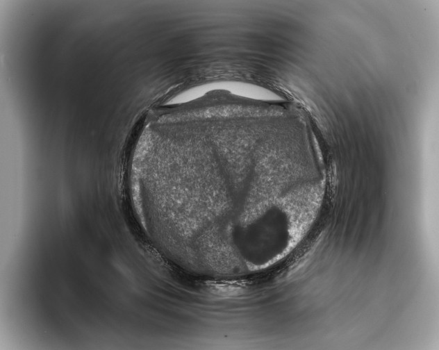 X0000095540359200801111438