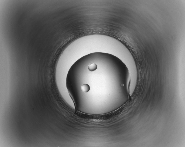 X0000095540360200801111438