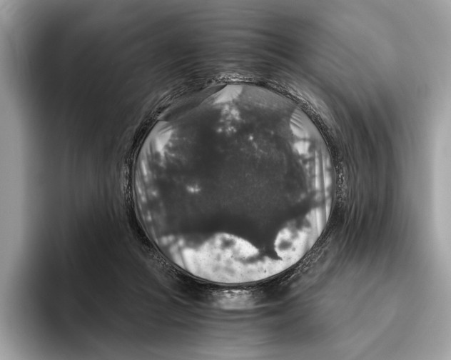 X0000095540361200801111438