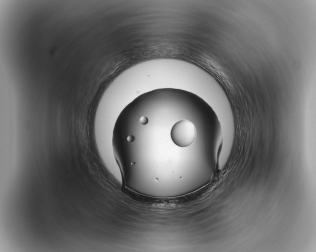 X0000095540362200801111438