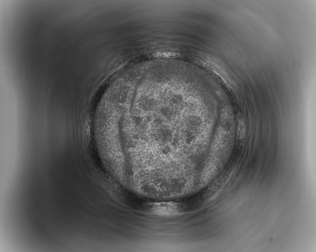 X0000095540363200801111438