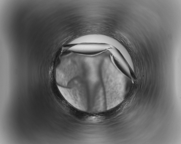 X0000095540364200801111438