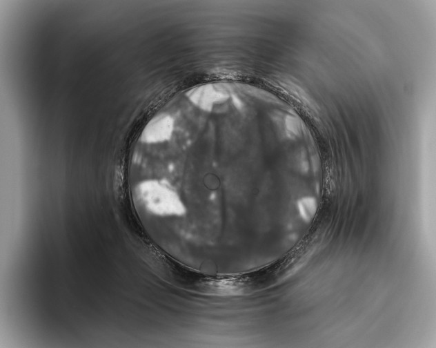 X0000095540365200801111438